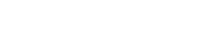 logo bravis